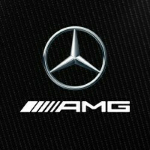 Mercedes amg petronas formula one team logo